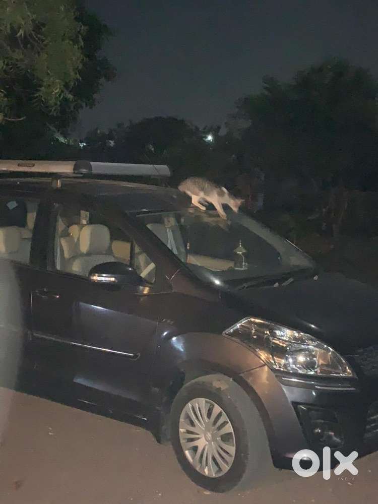Maruti Suzuki 2015 Model