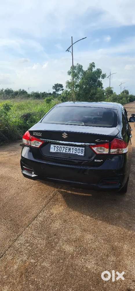 Maruti Suzuki Ciaz Zdi 2015 Diesel Manual