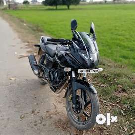 Olx pulsar sales