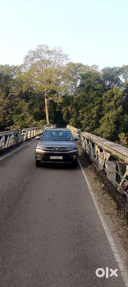 Maruti Suzuki Brezza 2024 Petrol Well Maintained