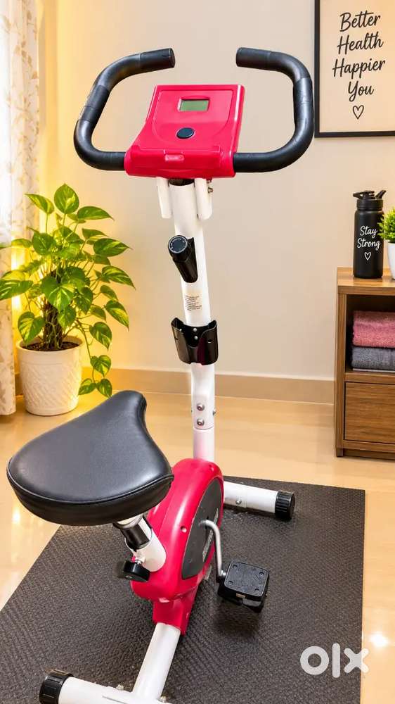 Lifelong Gym Cycle