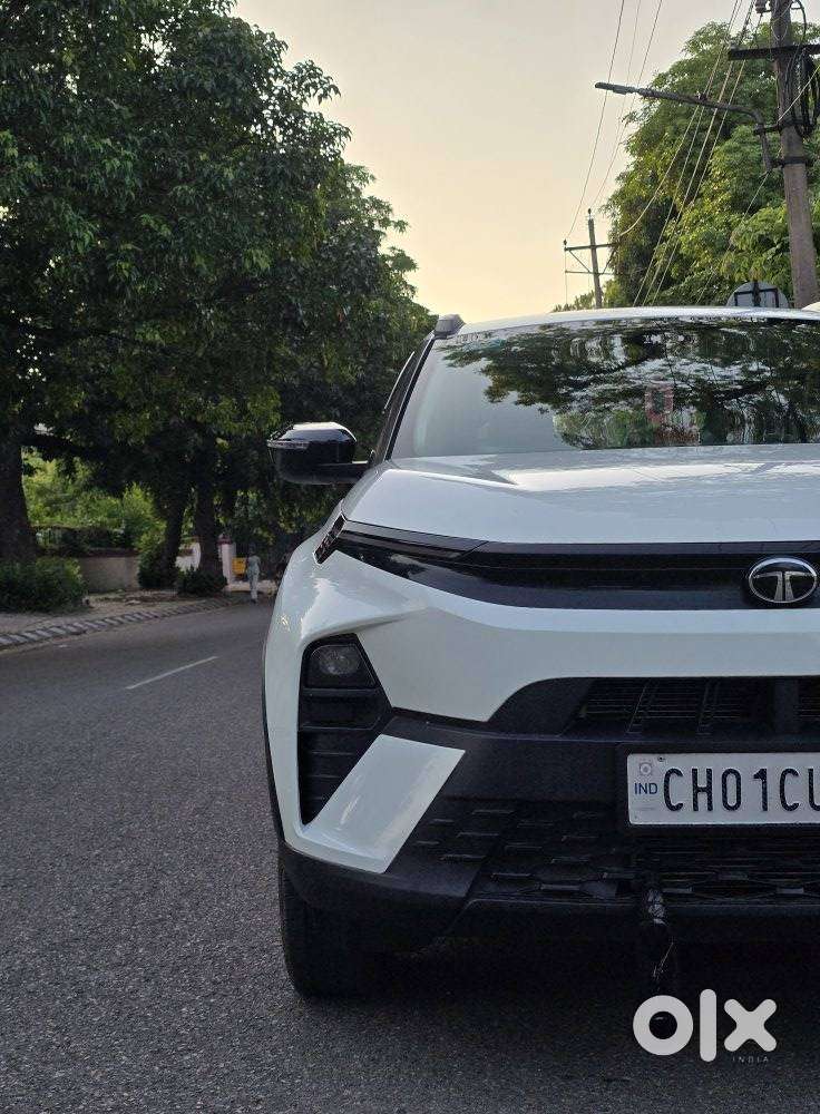 Tata Nexon Pure 1.2 Revotron Petrol 6 Mt, 2024, Petrol