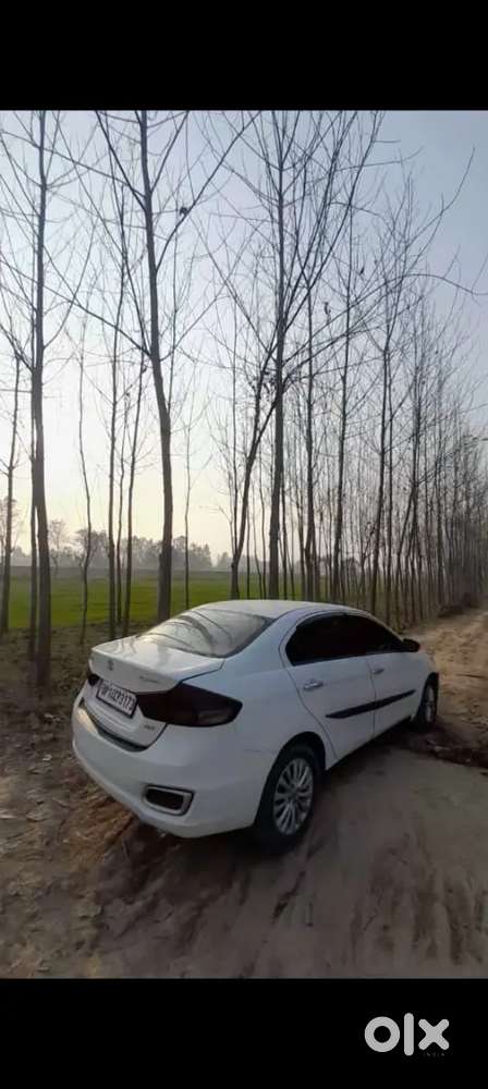 Ciaz 2015 Zdi Plus