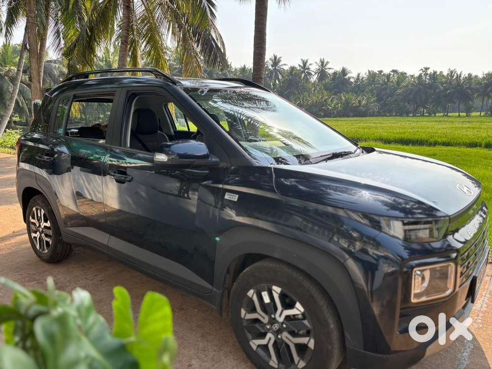 Hyundai Exter Petrol 3617 Km Driven