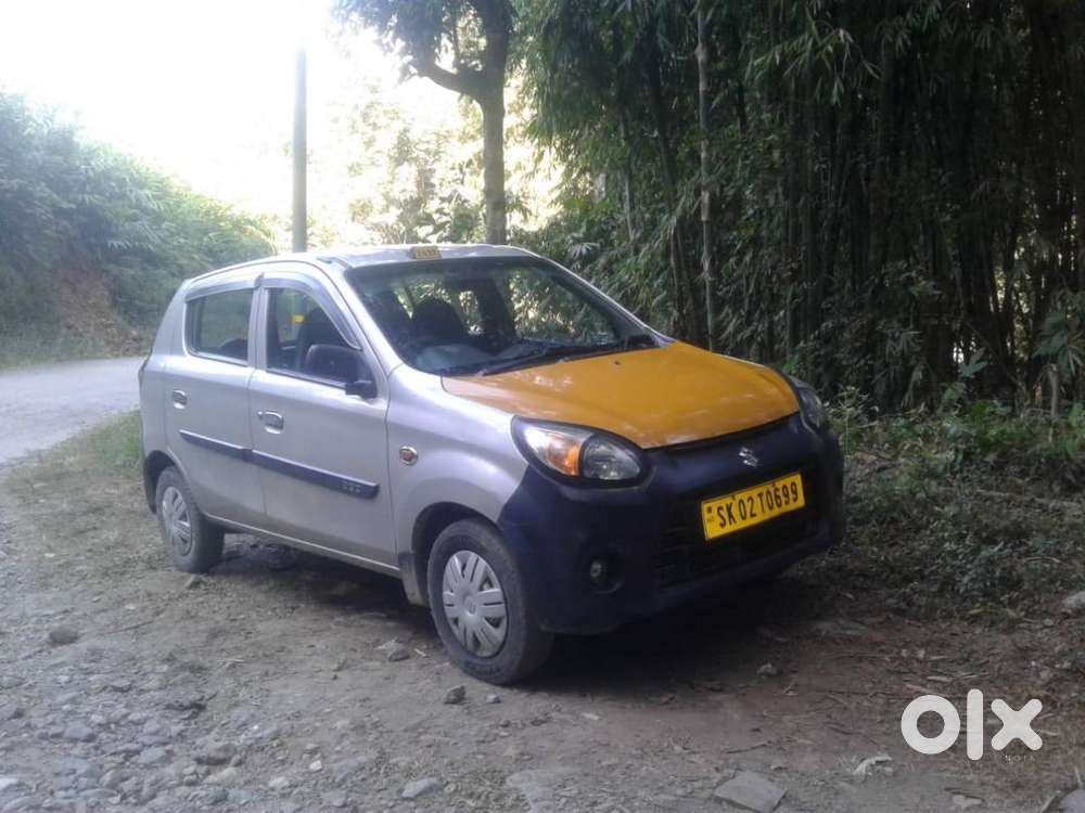 2017 Model