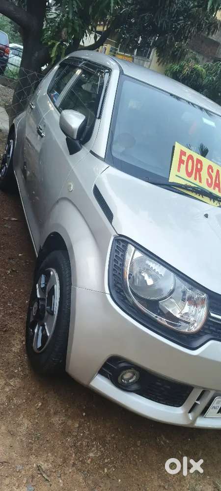 Maruti Suzuki Ignis 2019 Mint Fully Fresh Condition