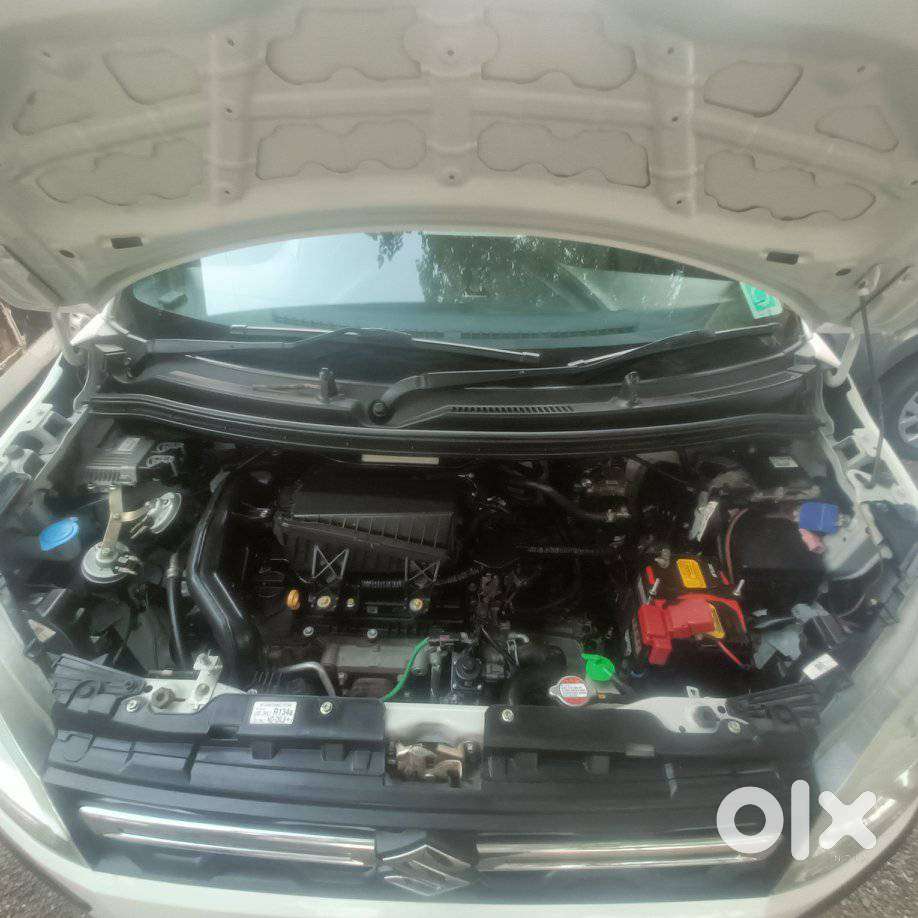 Maruti Suzuki Wagon R Flex Fuel Zxi+, 2023, Cng & Hybrids