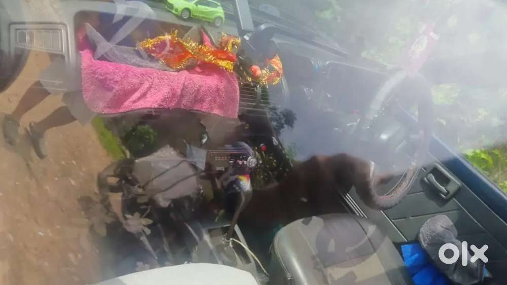 Maruti Suzuki 800 2000 Petrol Ac