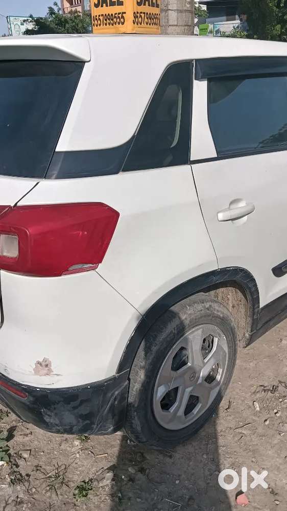 Brizza 2022 Cng