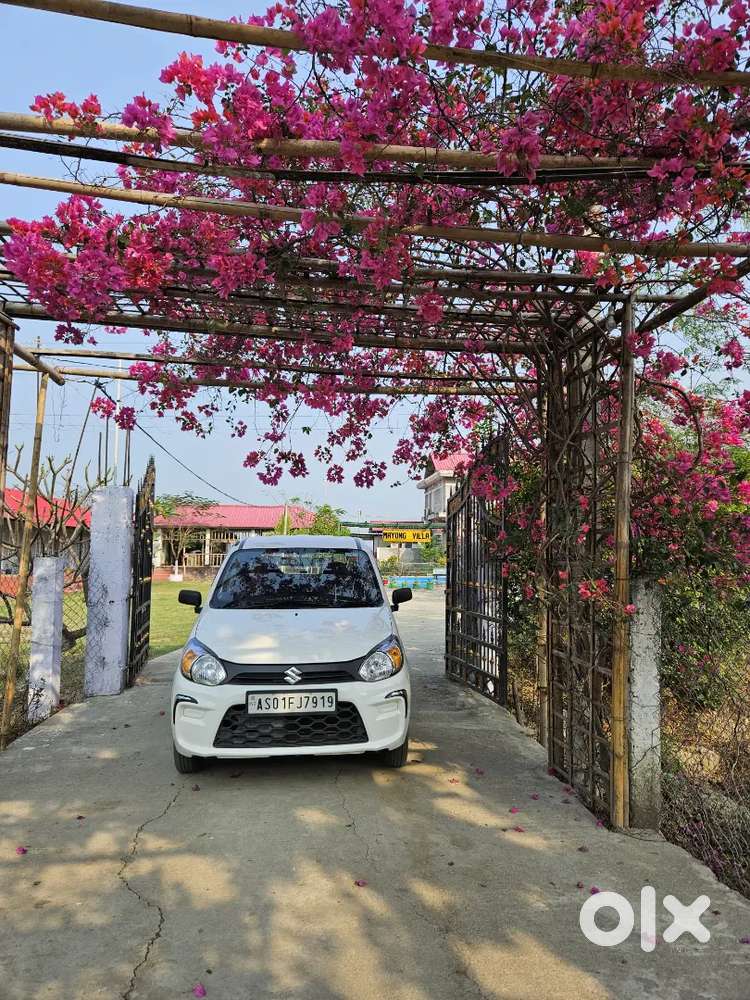Maruti Suzuki Alto 800 2022 Lxi