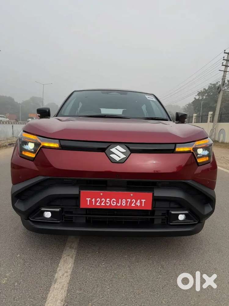 E Vitara Electric Alpha