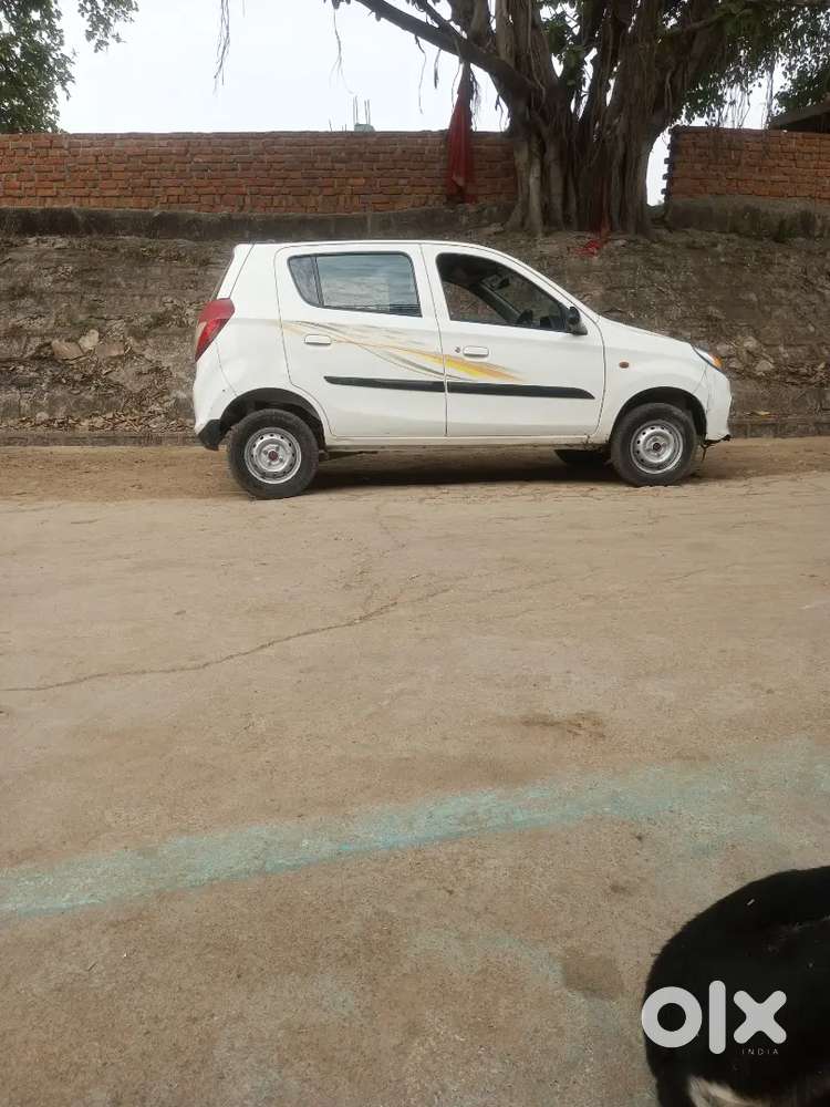 Alto 800 Showroom Condition Car