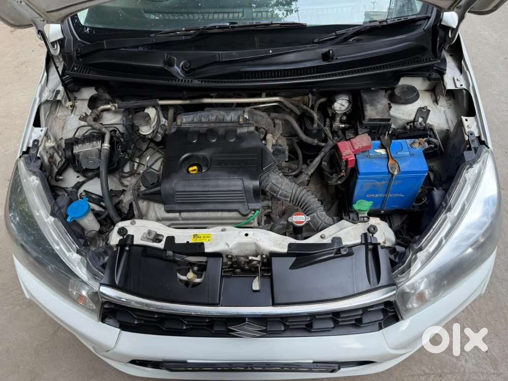 Maruti Suzuki Celerio Cng Vxi Optional, 2019, Cng & Hybrids