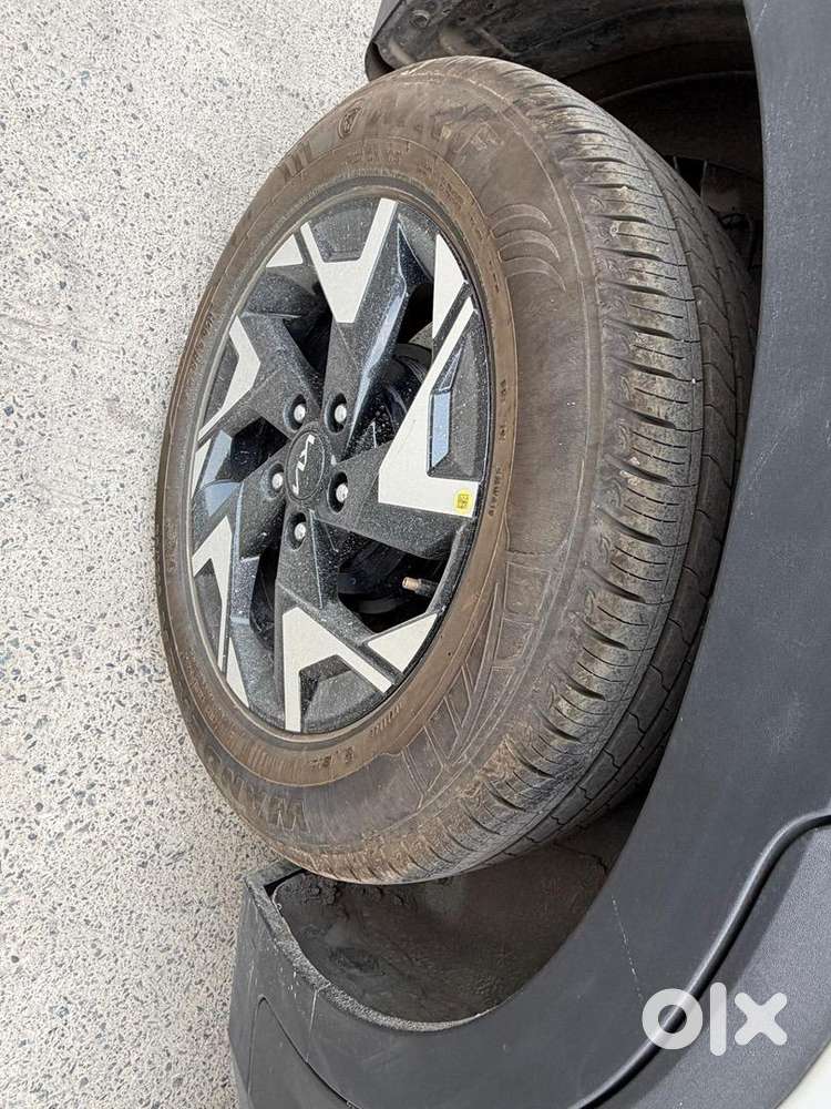 Kia Petrol Manual 2025 Year