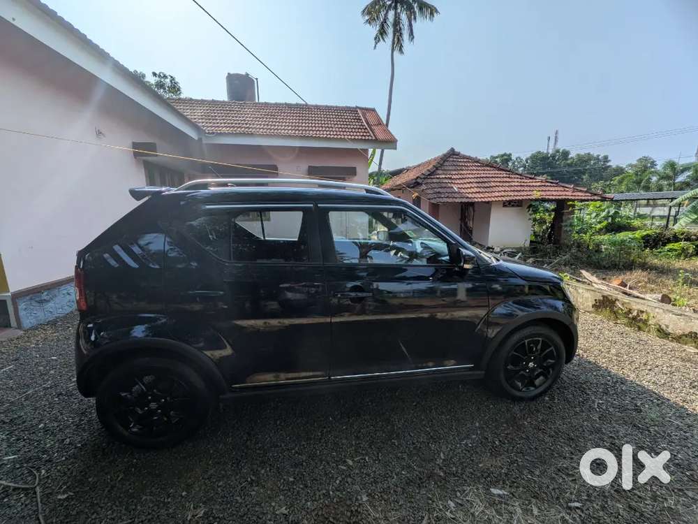 Maruti Suzuki Ignis 2024 Petrol 11800 Km Driven