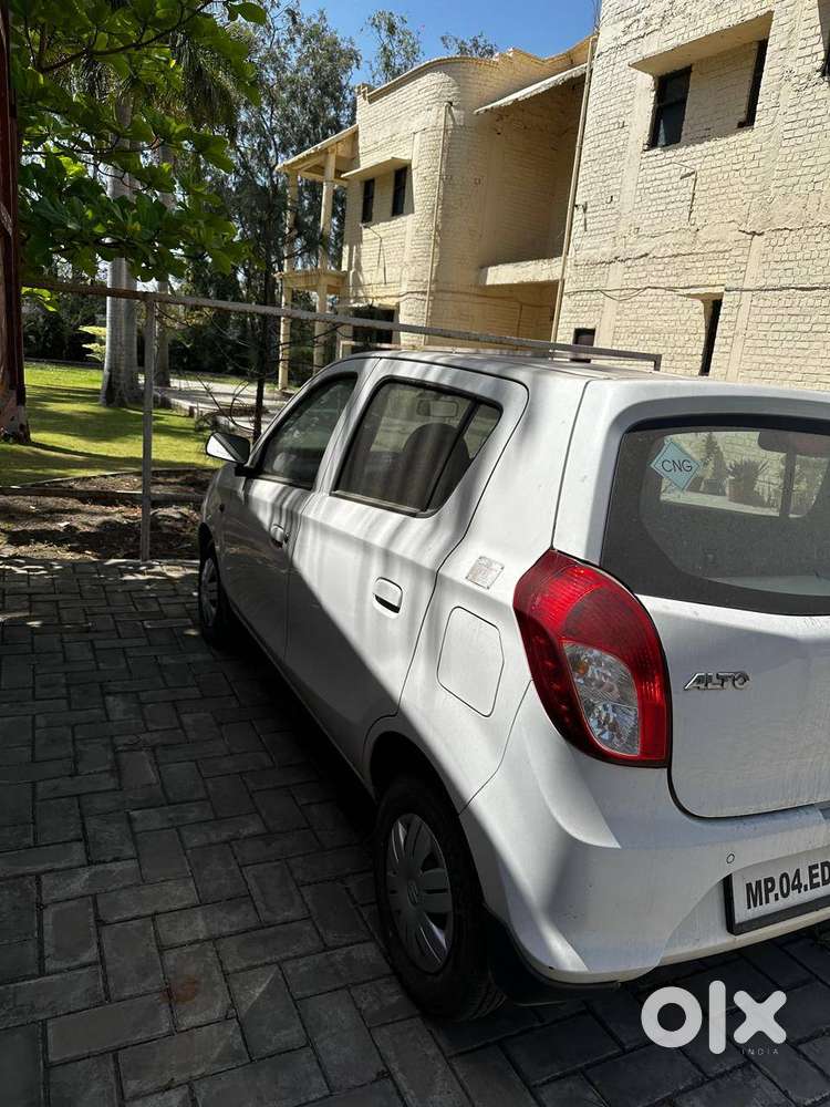 Brand New Alto For Sale