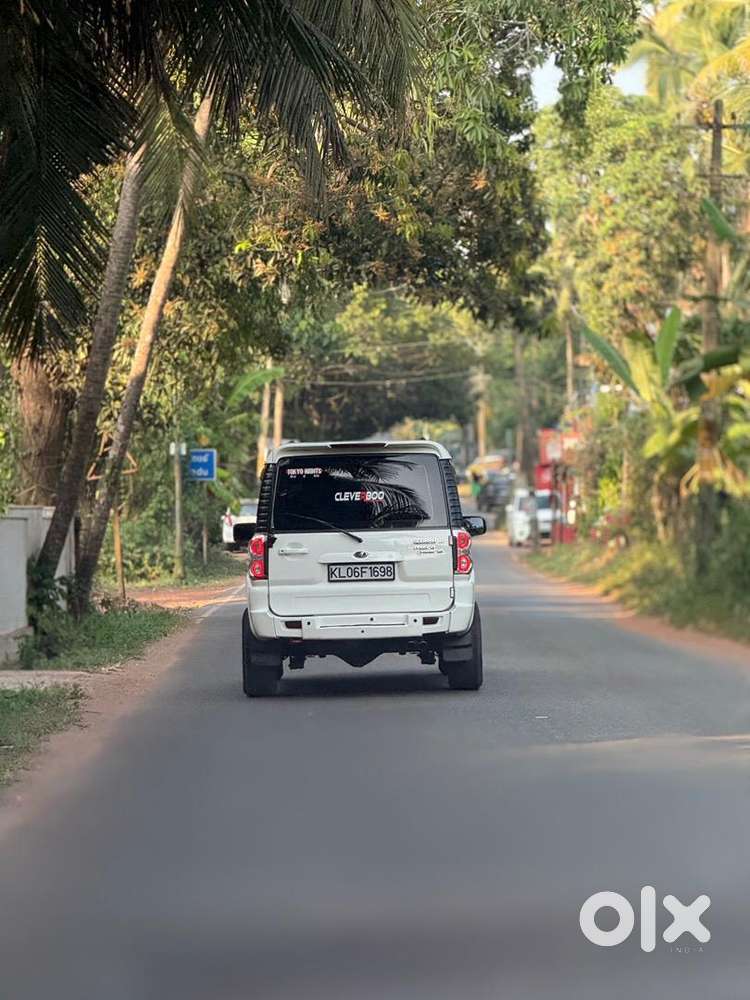 Clean Scorpio For Sale