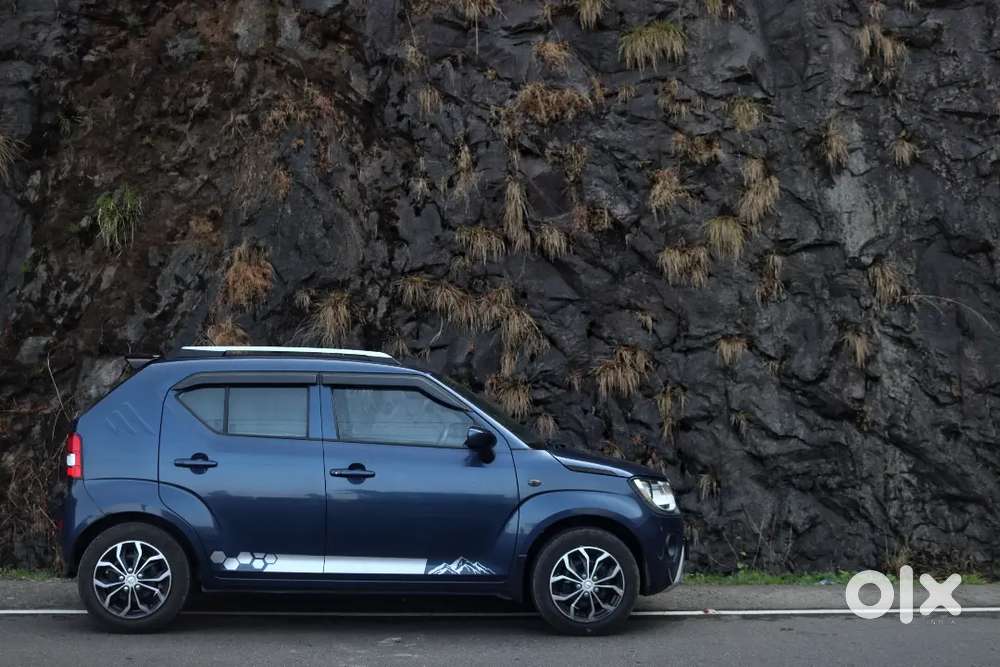 Maruti Suzuki Ignis 2021 Petrol 48500 Km Driven