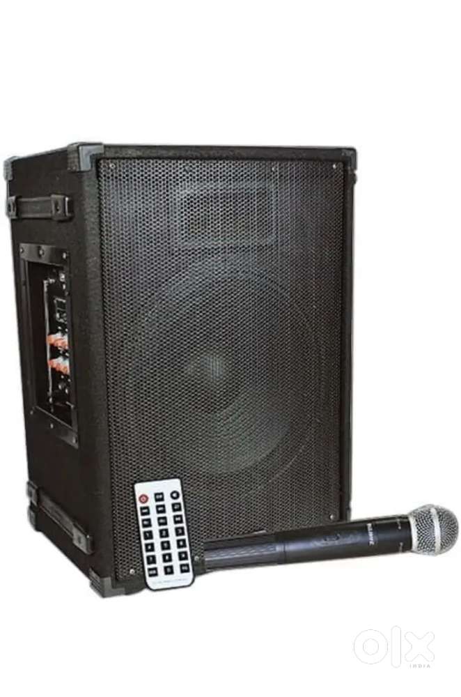 Stranger PM 162 with mic