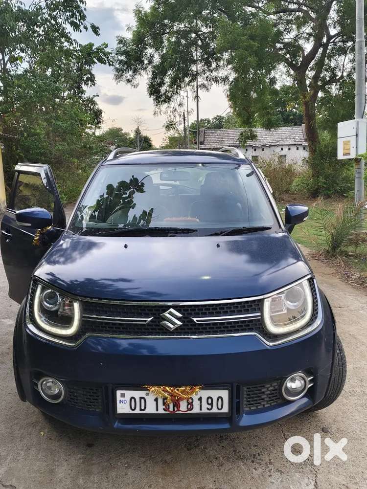 Maruti Suzuki Ignis 2019 Will Well Condition