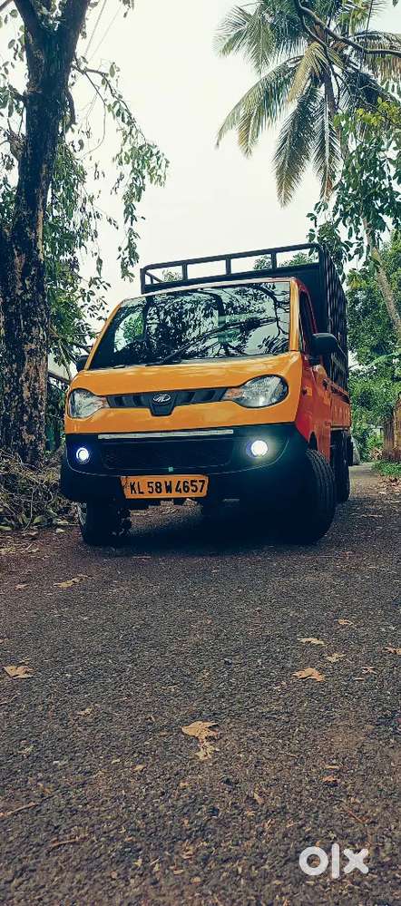 2018 Model Jeeto