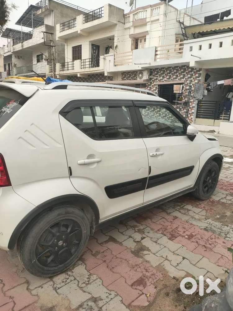 2023 Maruti Suzuki Ignis