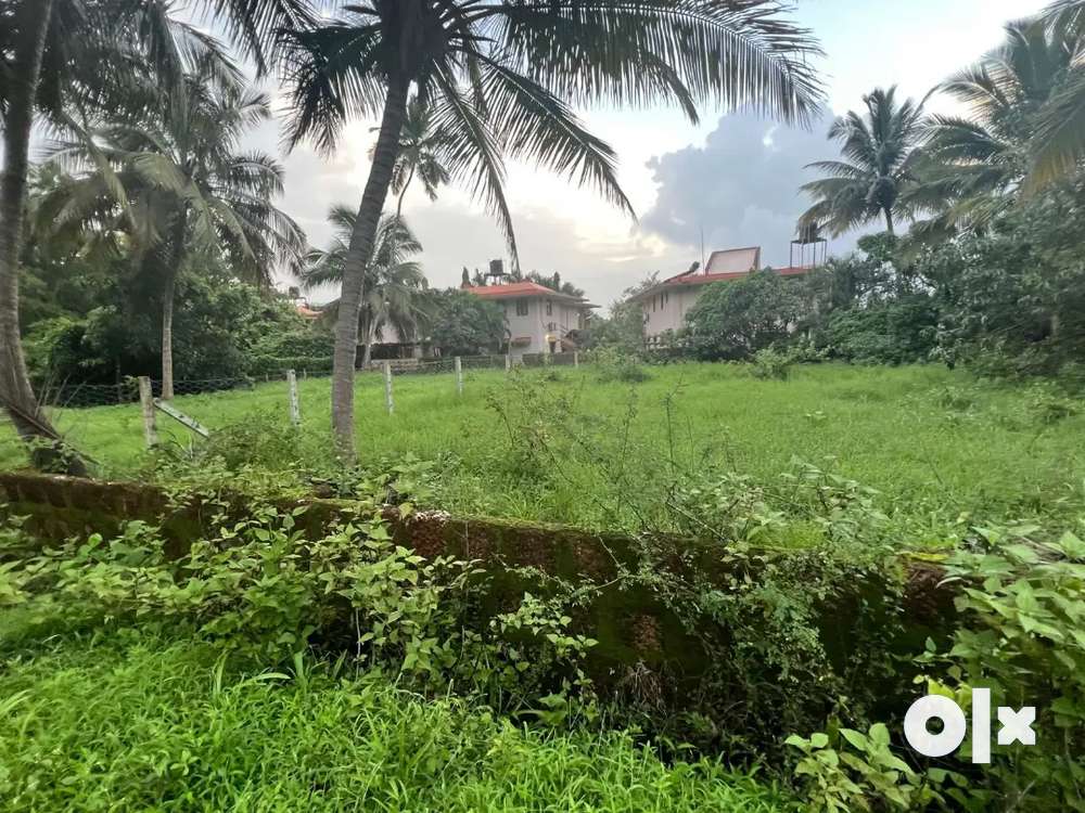 Plot next to Goa Country yard in Sapna Palm Betalbatim/ Colva - Lands ...