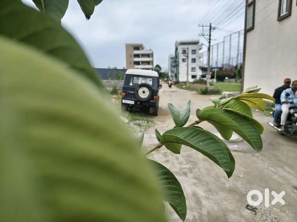 1998 Mahindra Commander 4x4 | Fc Till 2030 | Insurance Till 2027 | Exc