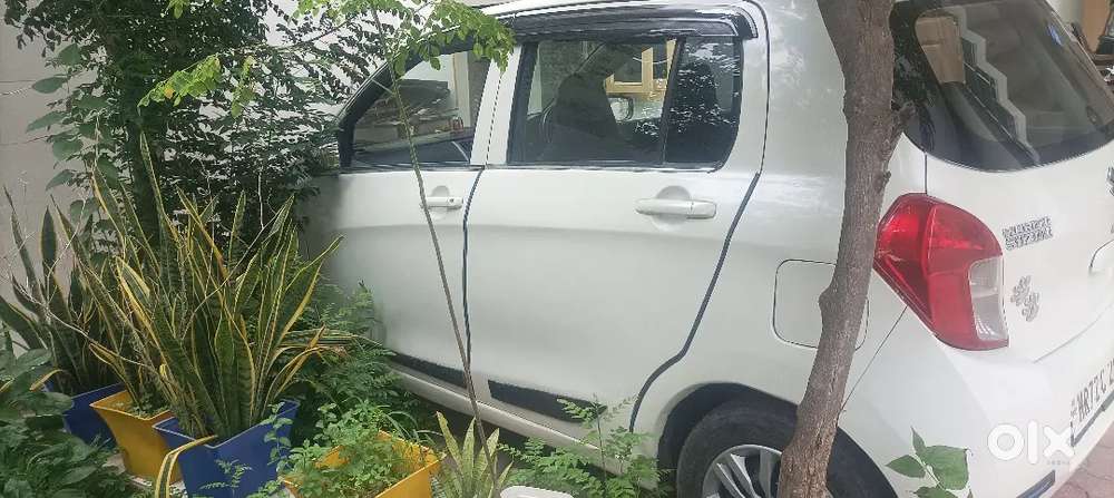 Maruti Suzuki Celerio 2016 Petrol