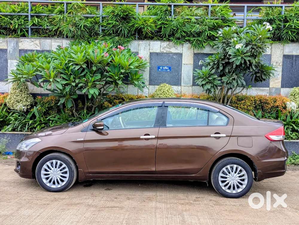 Maruti Suzuki Ciaz 2015 Diesel Good Condition