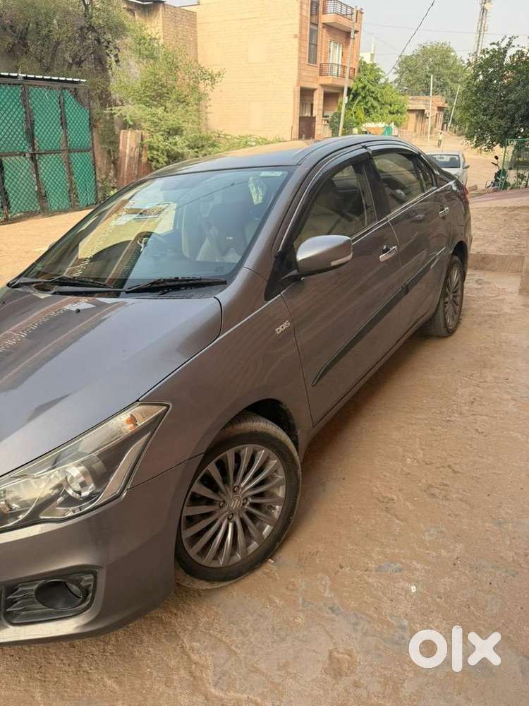 Maruti Suzuki Diesel 2017