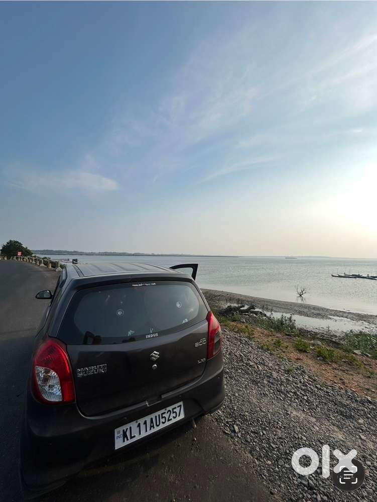 2014 Maruti Suzuki Alto