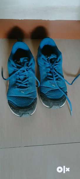 Puma Shoes in Mira Road East Free classifieds in Mira Road East OLX