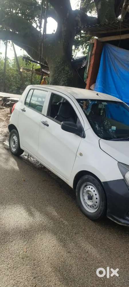 Maruti Suzuki Celerio 2019 Cng & Hybrids 330000 Km Driven
