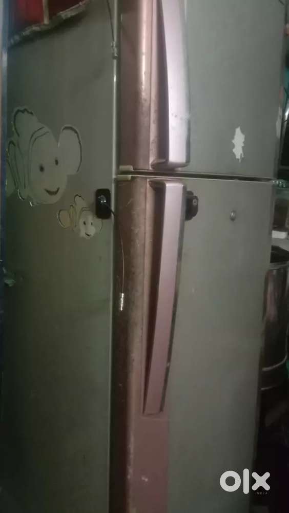 LG 5 Star fridge