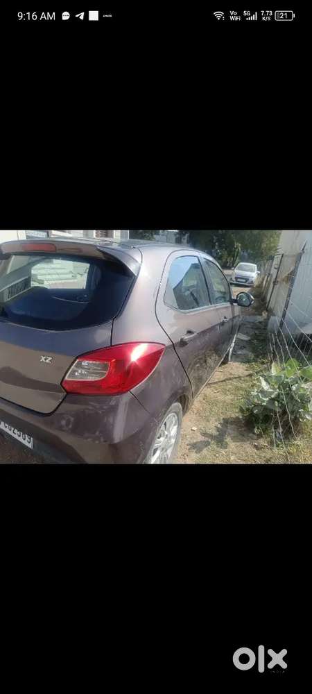 Top Model, Everything Company Fitted, Company To Company Service,