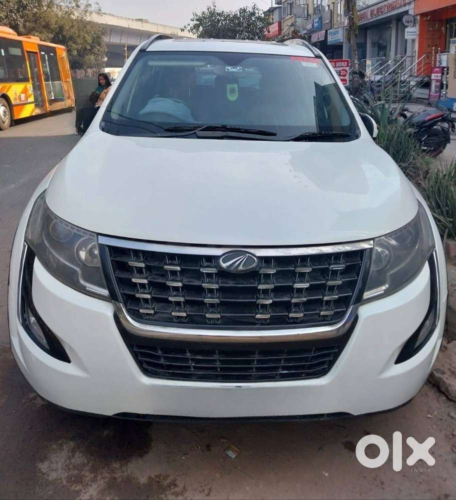 Suv Lovers Attention