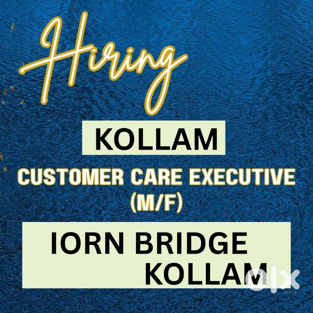 Customer care executive