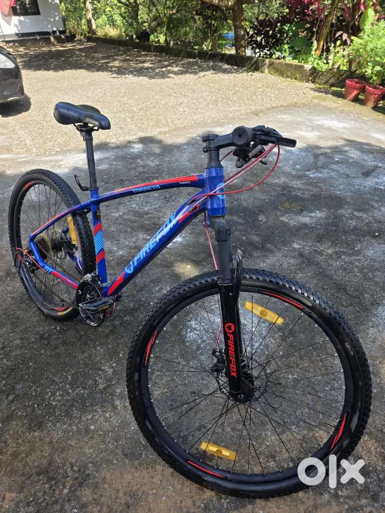 Black and Blue Firefox Torreto