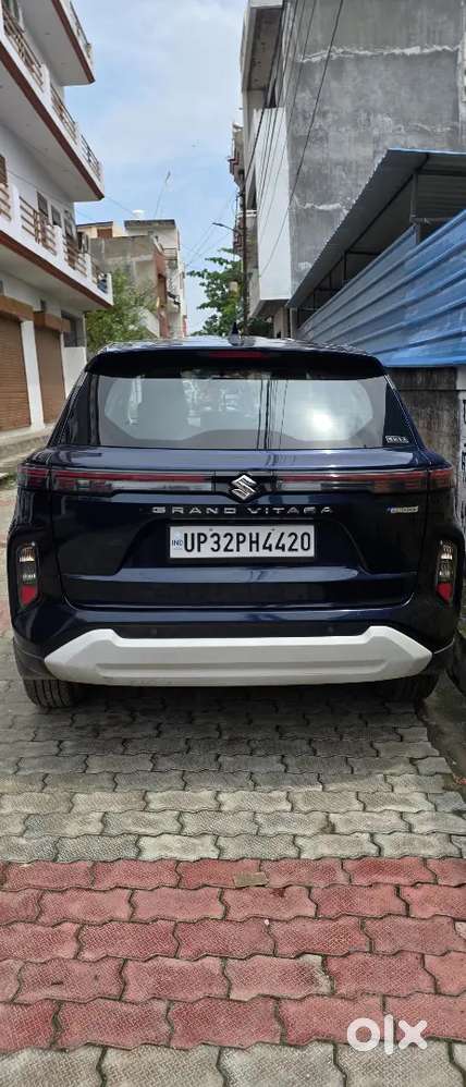 2024 Maruti Suzuki Vitara Hybrid