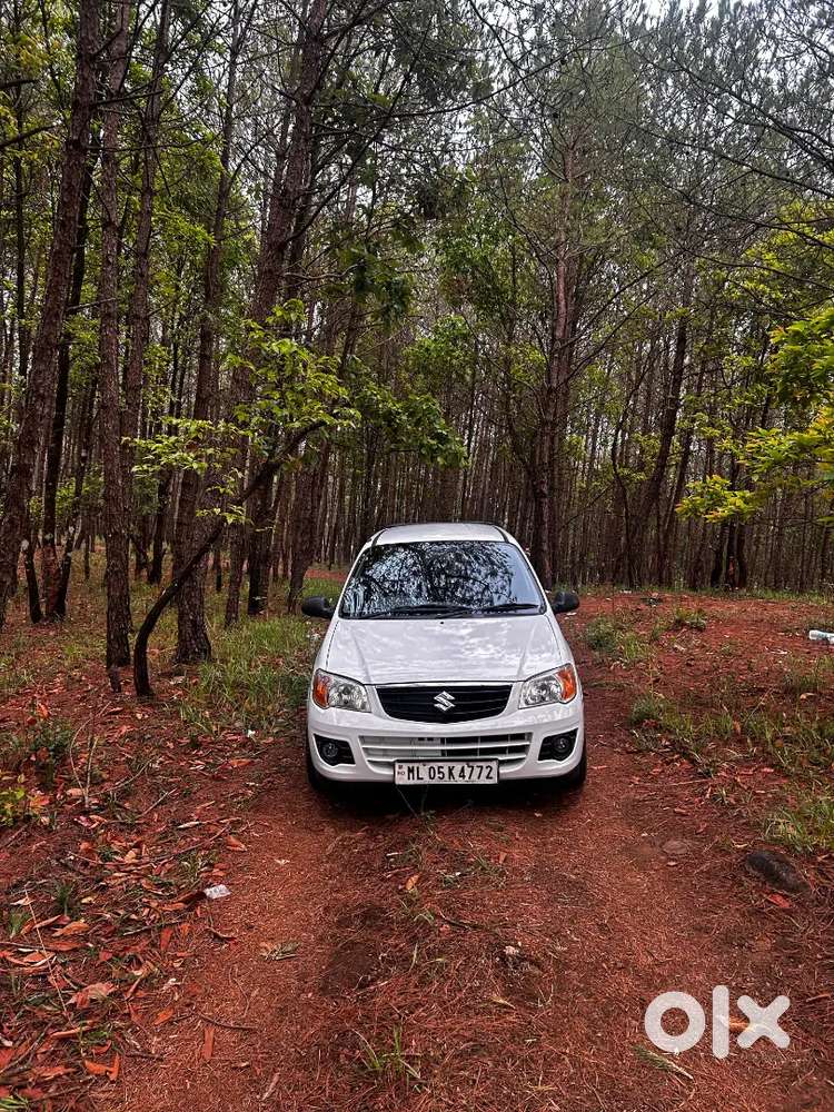 Maruti Suzuki Alto 2013