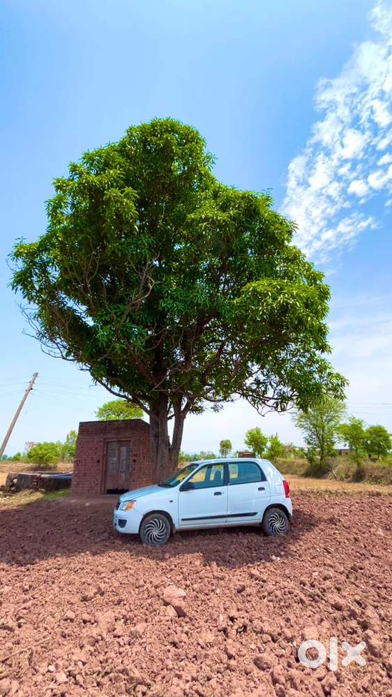 Maruti Suzuki Alto K10 2013