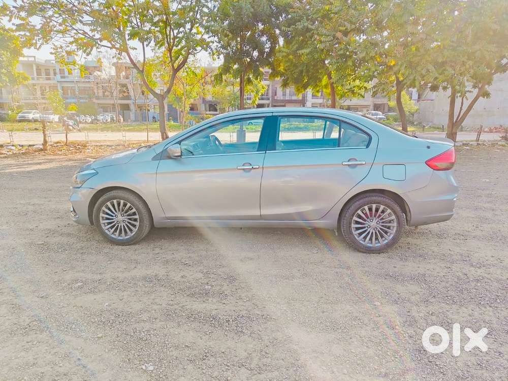 Top Model Ciaz 2020