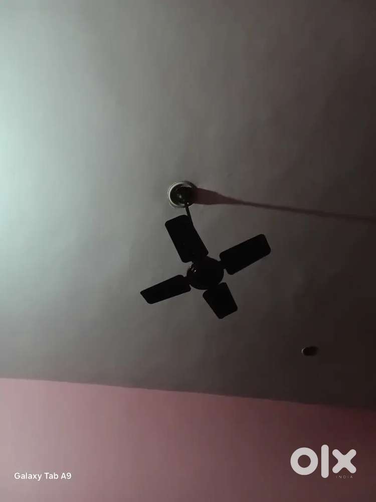 Celling fan for sale