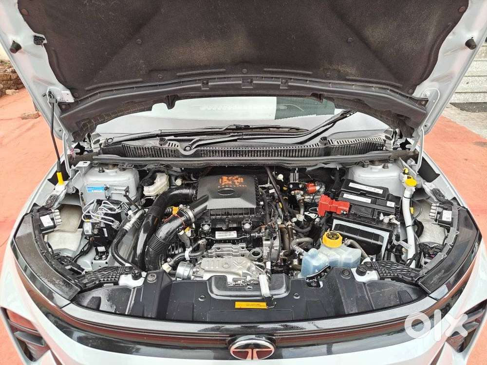Tata Nexon Pure Plus (s) Petrol Amt, 2025, Cng & Hybrids