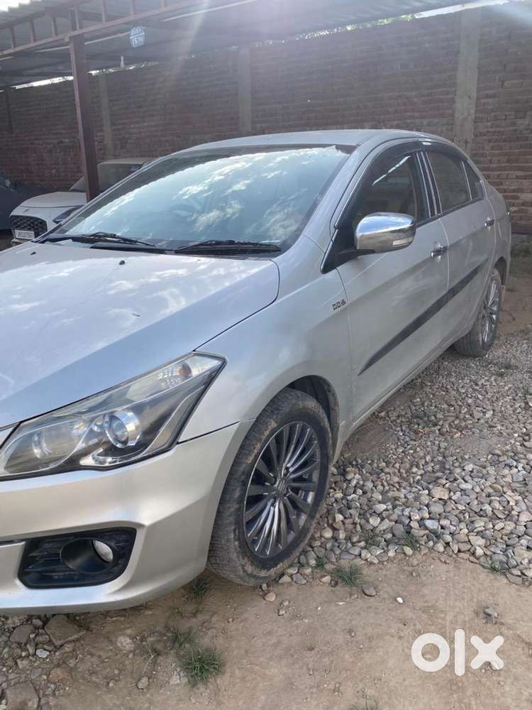 Maruti Suzuki Diesel 2016