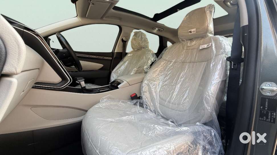 Hyundai Tucson 2.0 Platinum Petrol At, 2024, Petrol