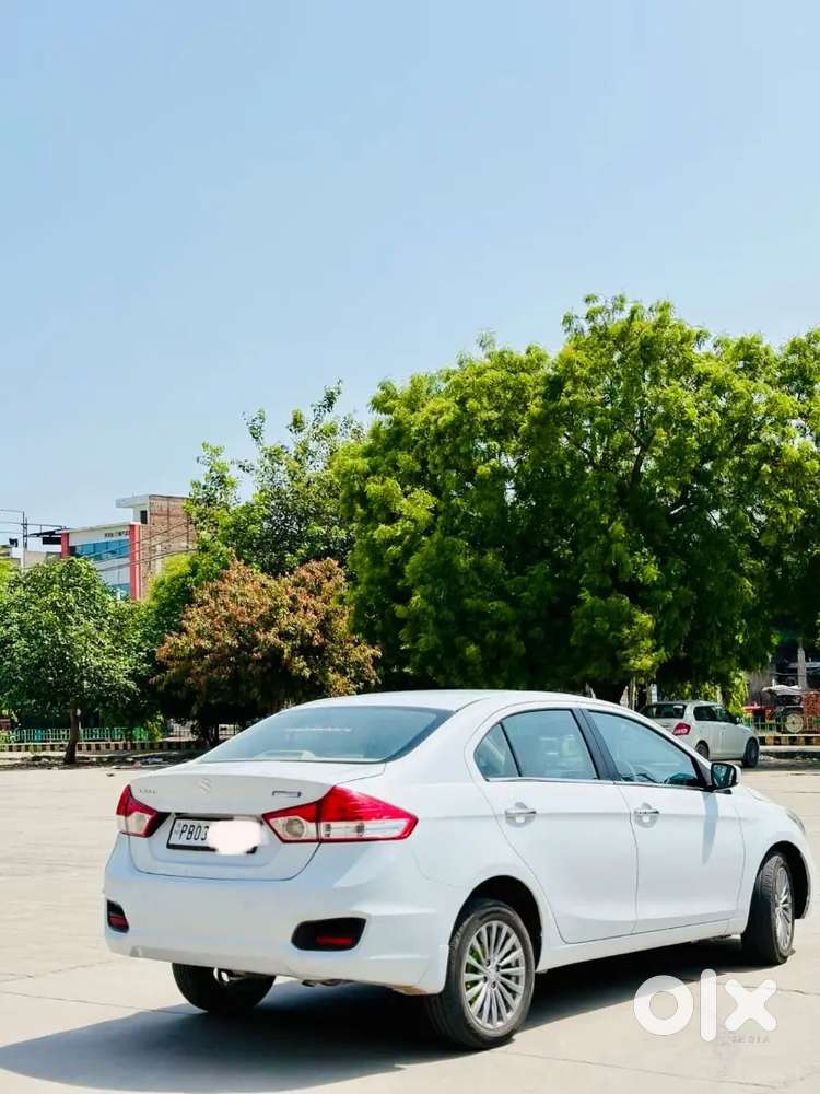 Maruti Suzuki Ciaz Zdi+2017