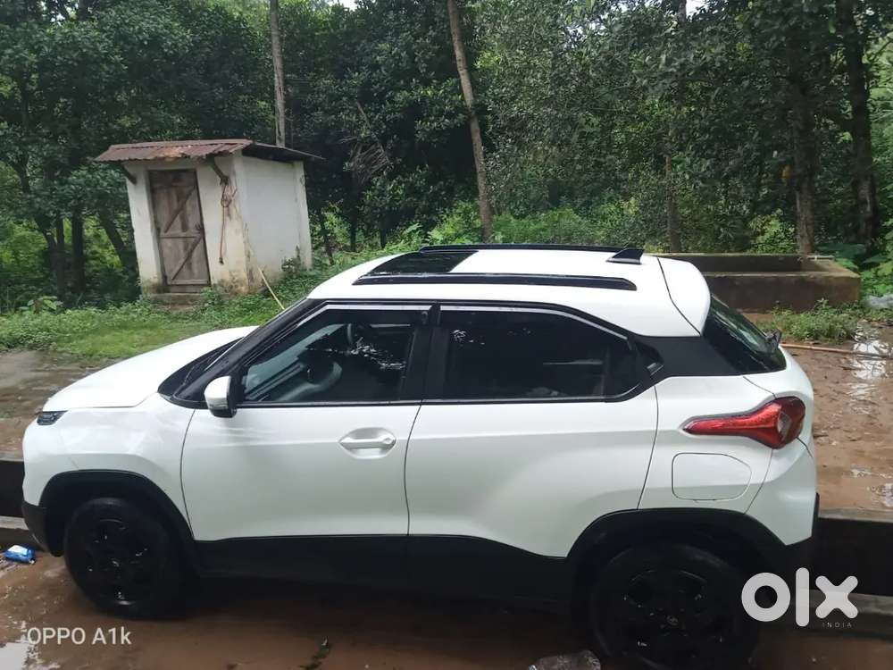 Tata Punch 2025 Cng & Hybrids 6500 Km Driven