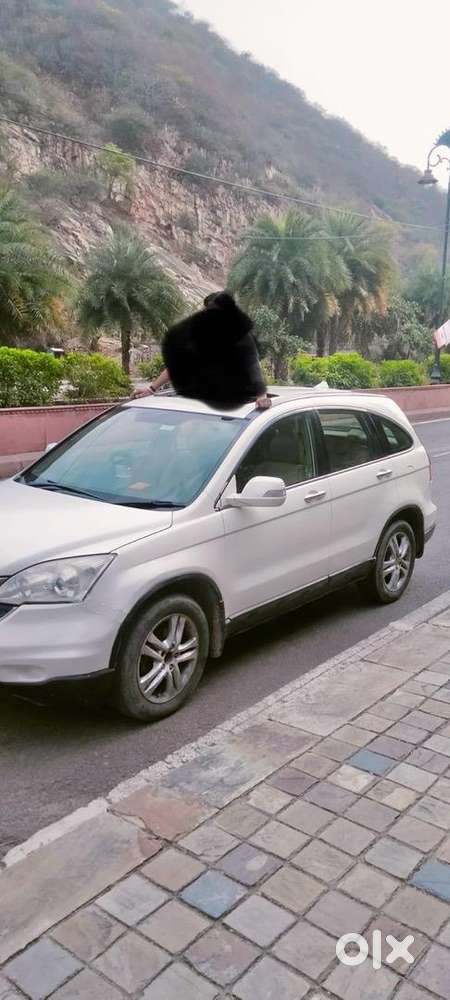 Honda Cr-v 2010 Cng & Hybrids Well Maintained